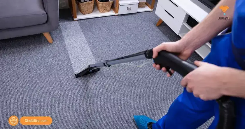 Sofa/Carpet Cleaning Service