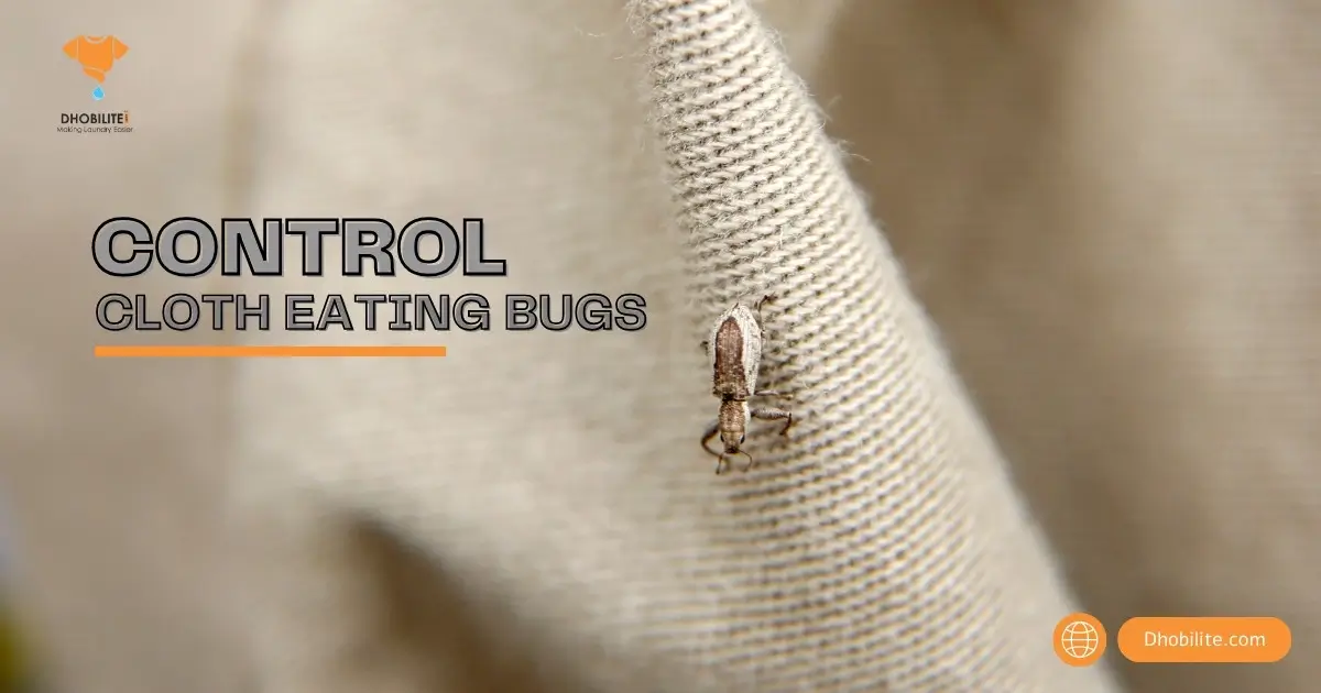 cloth eating bugs
