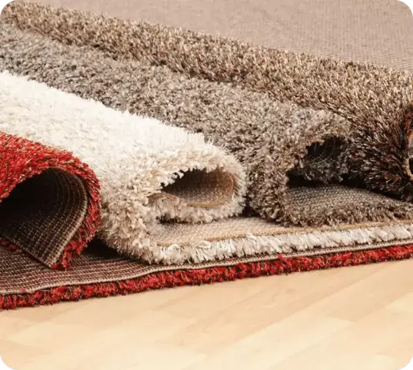 carpet cleaning services near me