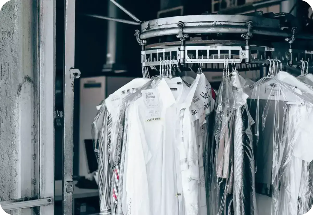 organic dry clean services