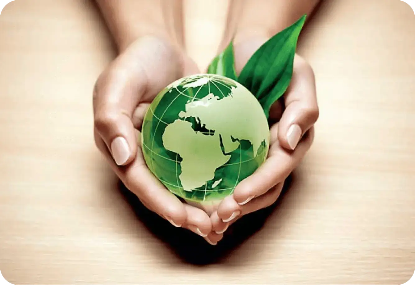 Go green with DhobiLite Dryclean Services